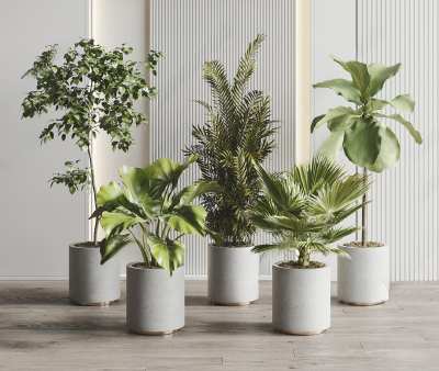 现代植物盆栽组合3D模型下载